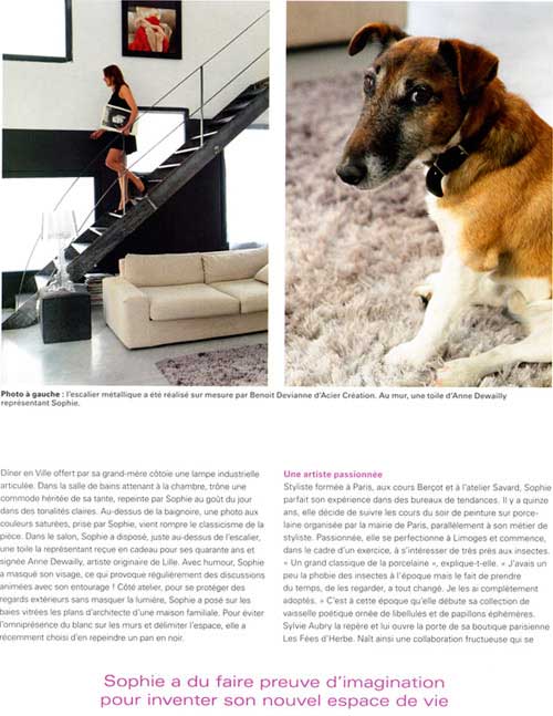 chien dans un loft