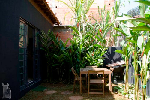 jardin avec bananiers