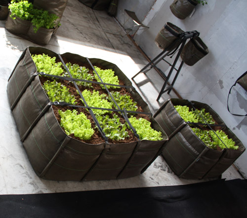 potager design sur une terrasse