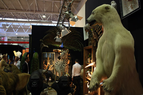 taxidermie