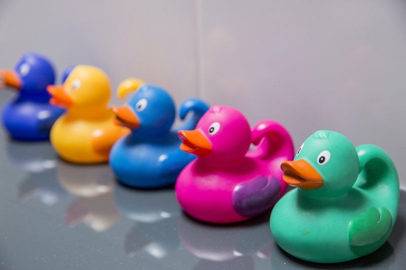 Canard deco
