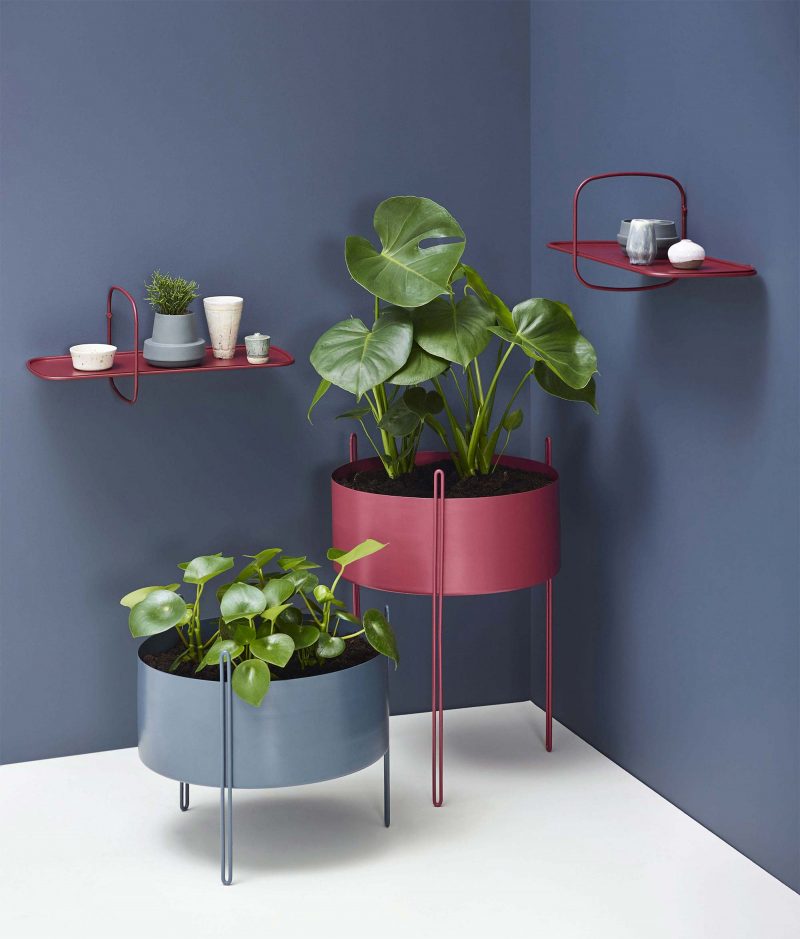 21 idées de Plantes et pots Interieur