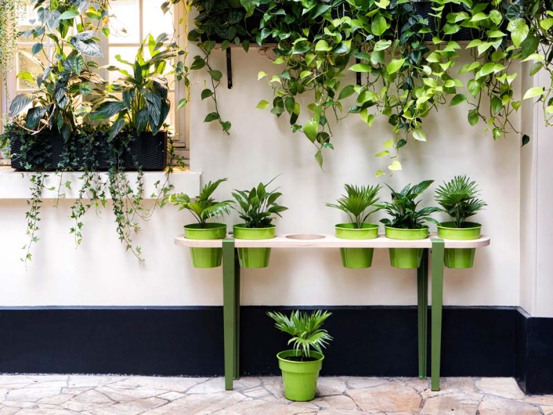 Cache-pot sur pied et support pour plante : 26 idées déco  Pot de fleur  interieur, Comment décorer une salle de bain, Deco plantes interieur