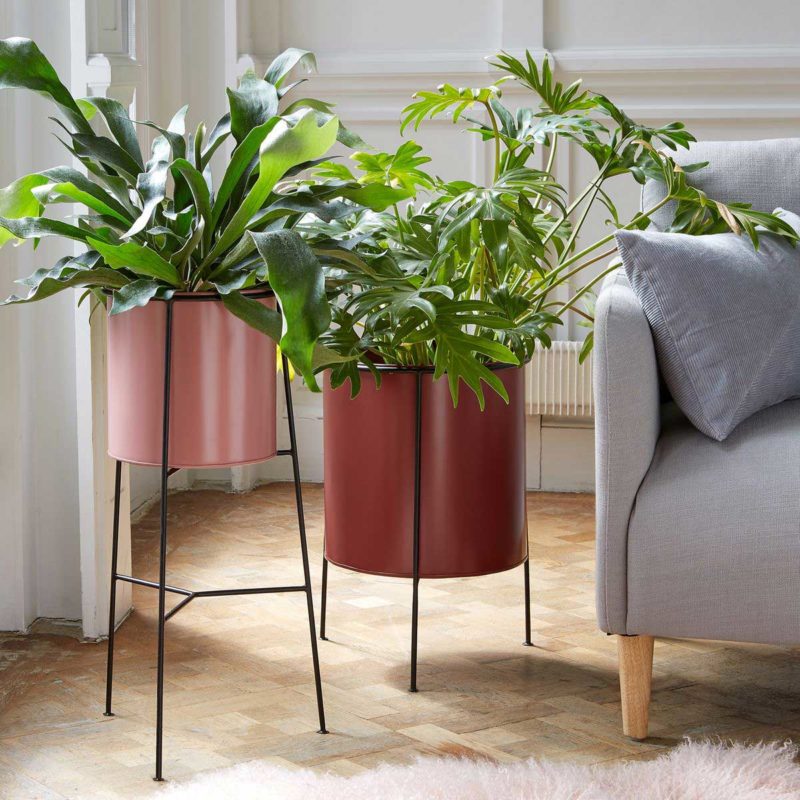 urban jungle - plante verte d'intérieur et cache-pot déco