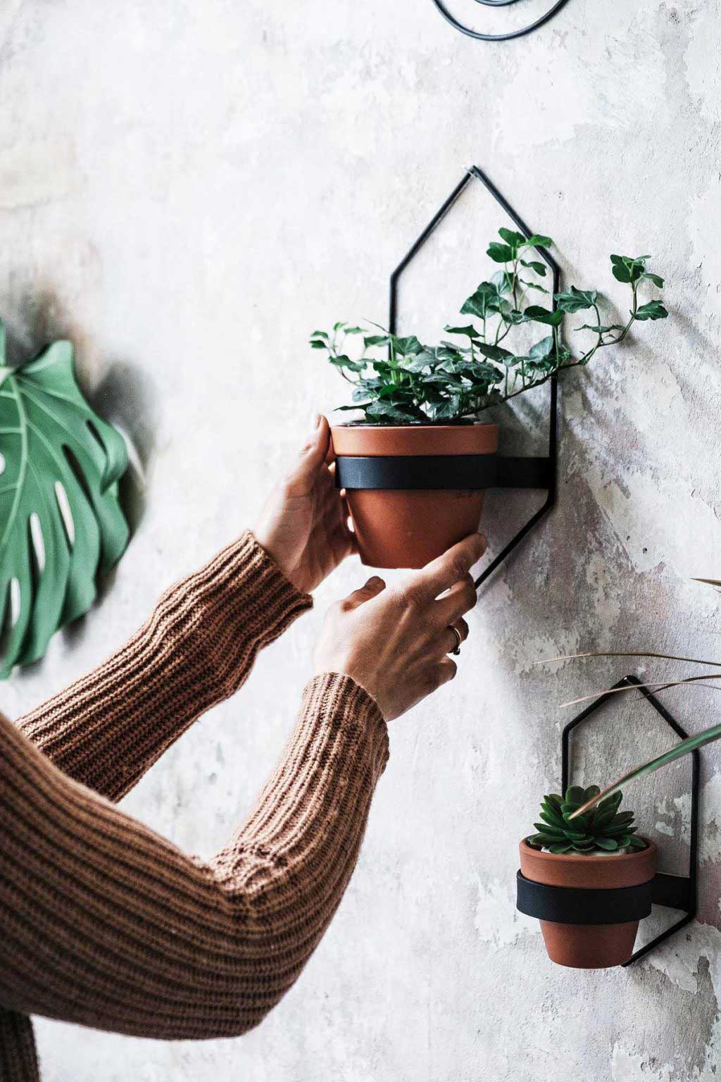 Support Mural Pour Plantes D Interieur