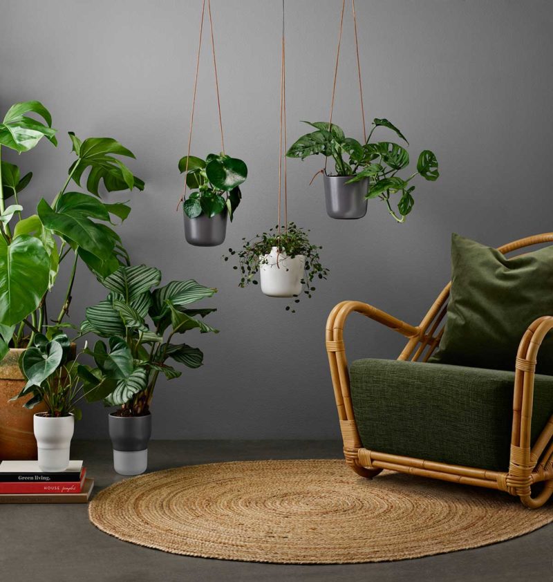 Pot design pour plantes d'intérieur Vert amande - Iriso