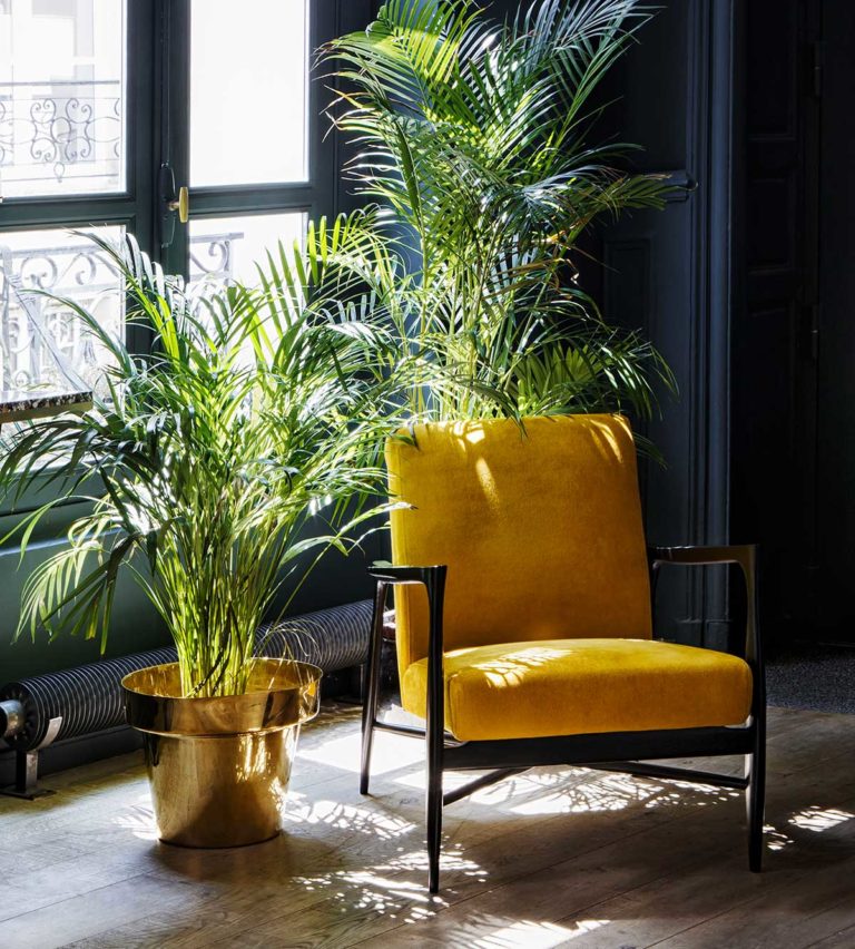Fauteuil jaune : 19 idées déco pour le salon