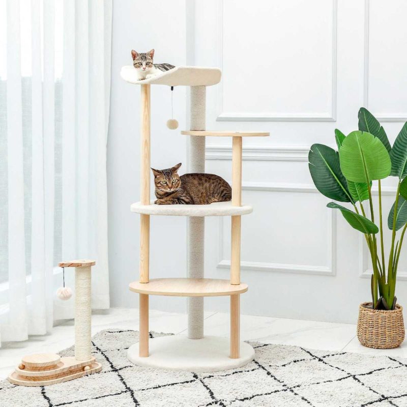 9 modèles d'arbre à chat design qui vous feront craquer