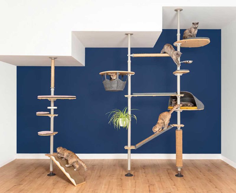 Arbre à chat modulable avec poteaux