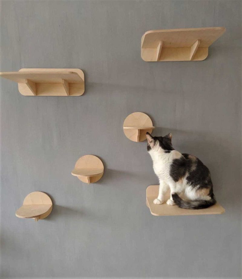 Idée pour aménager un mur pour chat
