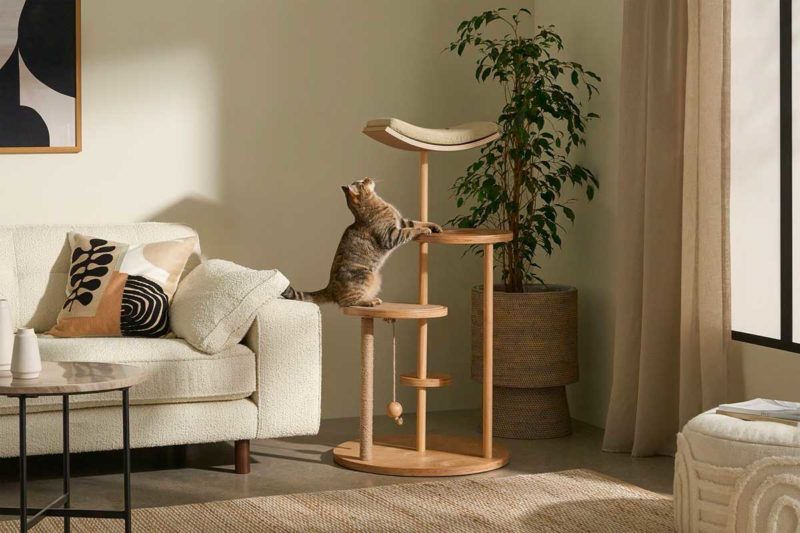 Salon avec arbre à chat design