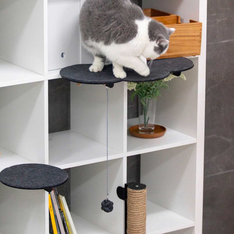 Tablette pour chat à accrocher sur des meubles