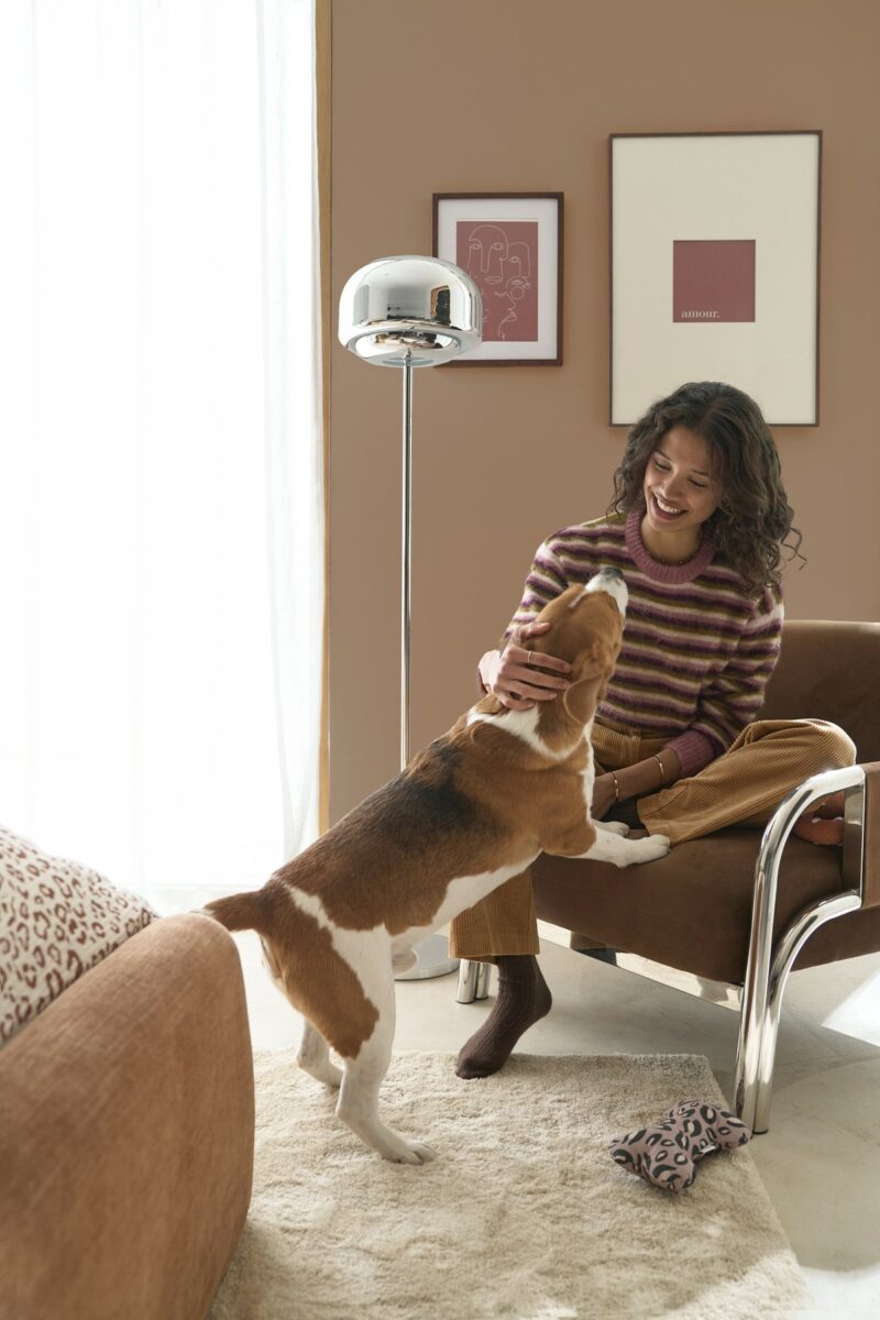 Fauteuil lounge Vindy en velours et acier chromé, La Redoute